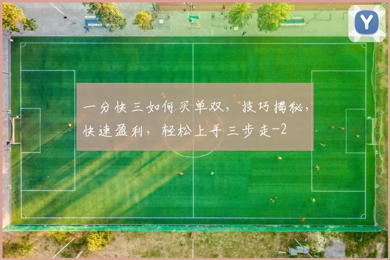 一分快三如何买单双，技巧揭秘，快速盈利，轻松上手三步走